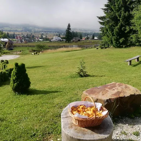 Holiday home Pensiunea L'amoro *
