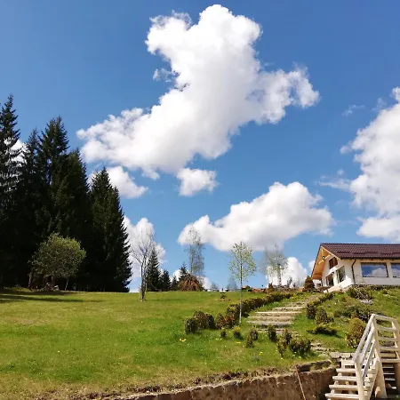 Pensiunea L'amoro Holiday home Neagra Sarului