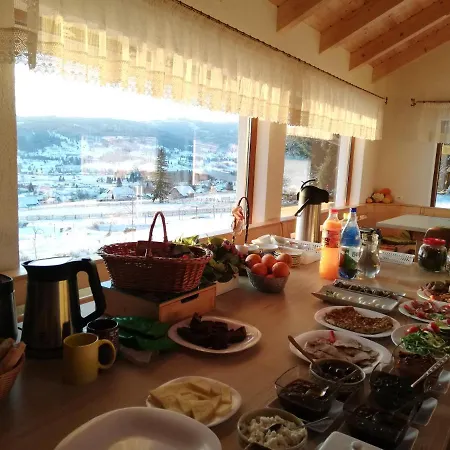Pensiunea L'amoro Holiday home Neagra Sarului