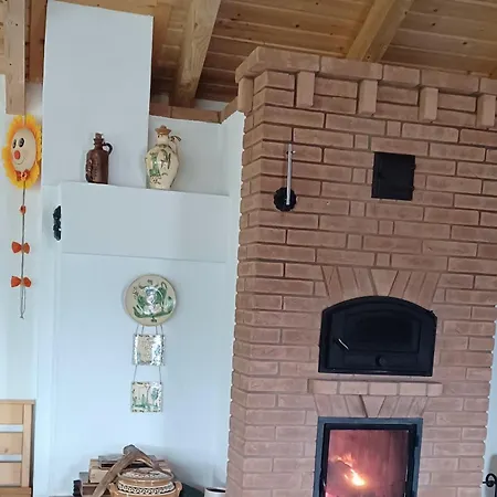 Pensiunea L'amoro Holiday home Neagra Sarului