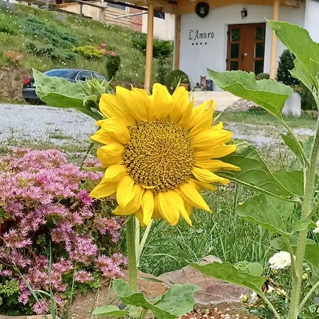Holiday home Pensiunea L'amoro Neagra Sarului