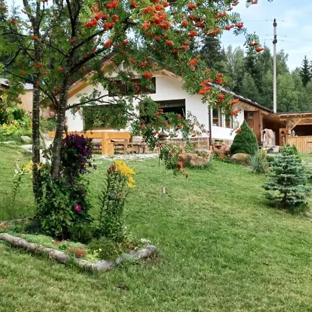 Holiday home Pensiunea L'amoro