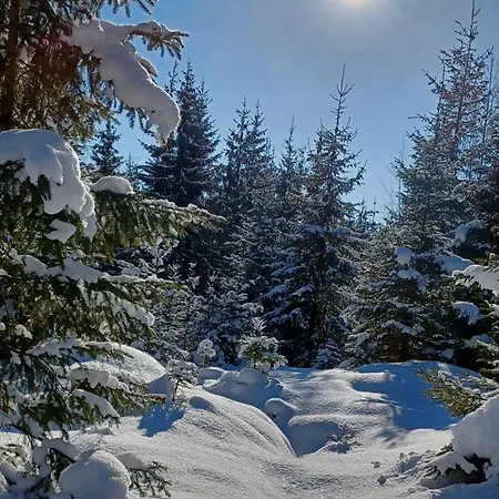 Pensiunea L'amoro Holiday home *