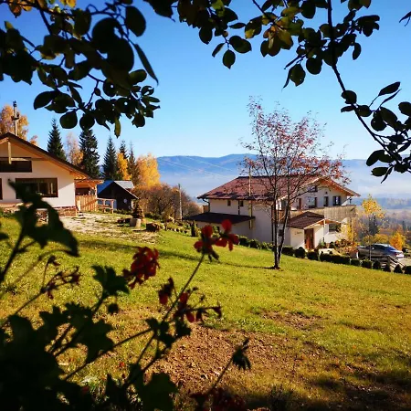 Pensiunea L'amoro *